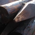 Creosoted Rustic Posts