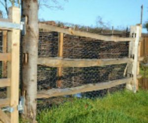 6'6" 6-7" H/R Cleft Chestnut Posts 3 pai