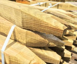 600mm 75m x 75mm UC4 Treated Peg