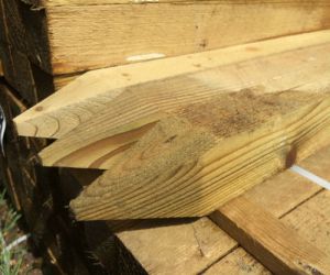 450mm 47mm x 47mm Treated Peg