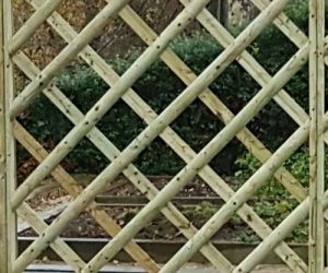 1.5m x 1.8m Rose Panel