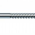 Coach Screws