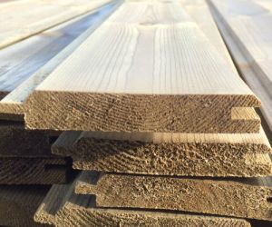 3.6m ex 19mm x 100mm TGV Treated