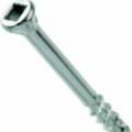 Stainless Steel Screw