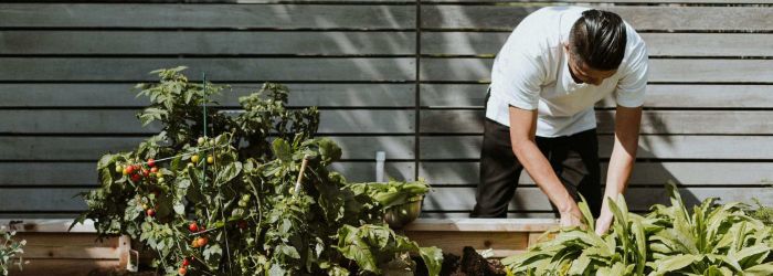 Transform Your Outdoor Space: DIY Garden Makeover Ideas