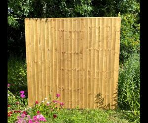 Closeboard panel 5'0 x 6'0
