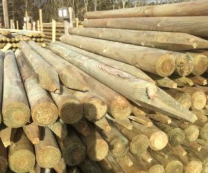 2.1m x 50mm ptd stakes machined