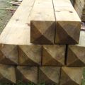 Gate Posts